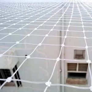 Product Image of Pigeon Netting Service In Gujarat